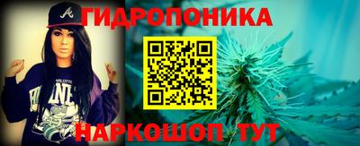 прущие крисы Пугачёв